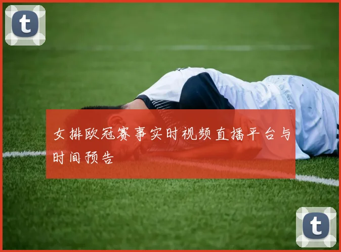 女排欧冠赛事实时视频直播平台与时间预告